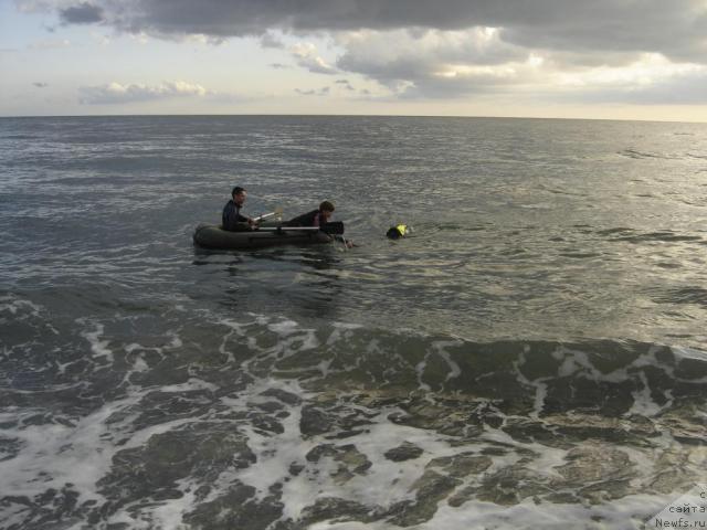 Фотография № 33125