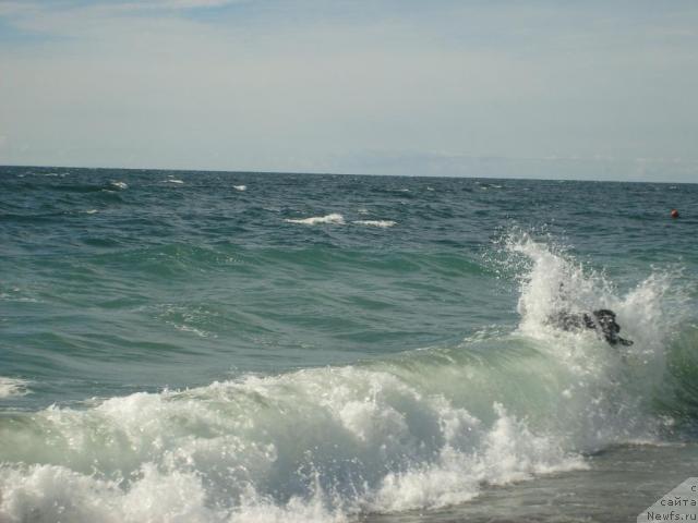 Фотография № 33130