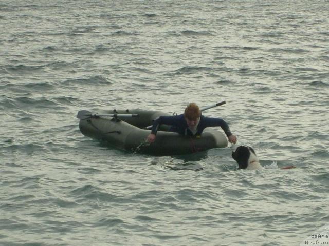 Фотография № 33137