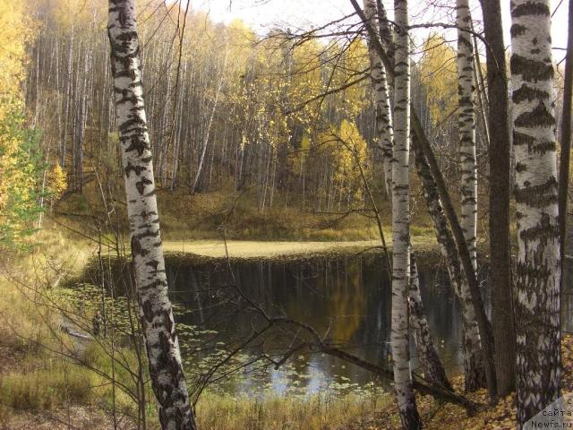 Фотография № 33185