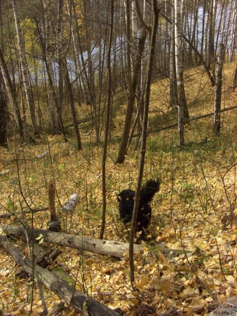 Фотография № 33200