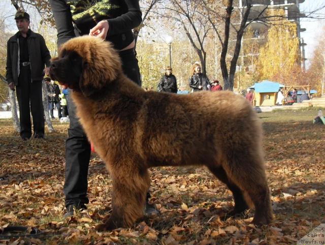 Фотография № 33228