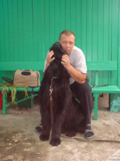 Фотография № 33229