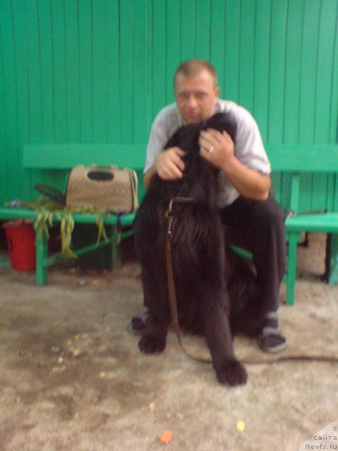 Фотография № 33230