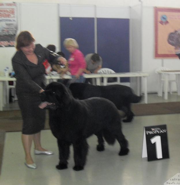 Фотография № 33251