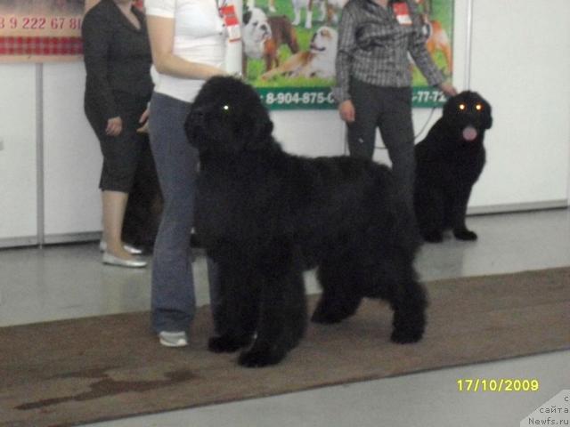 Фотография № 33252