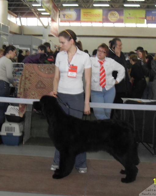 Фотография № 33255