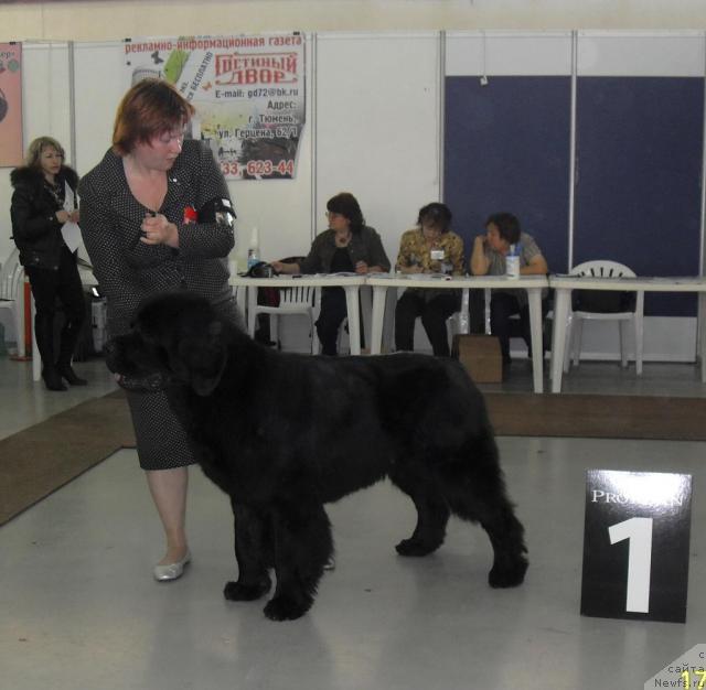 Фотография № 33256