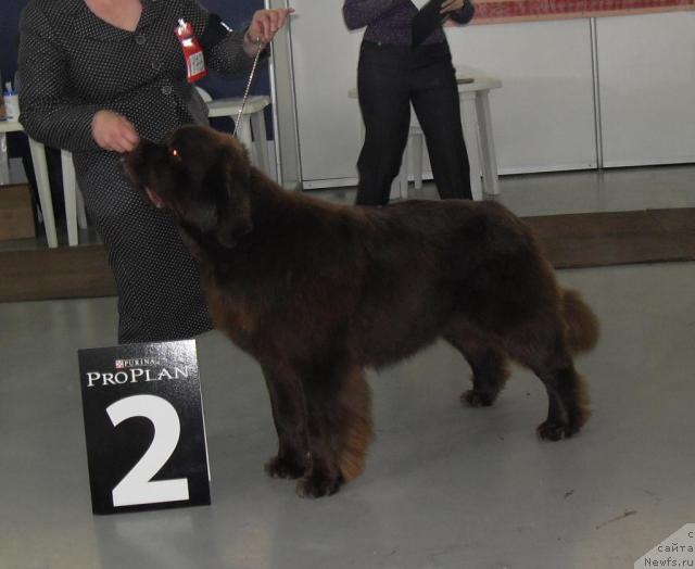 Фотография № 33257