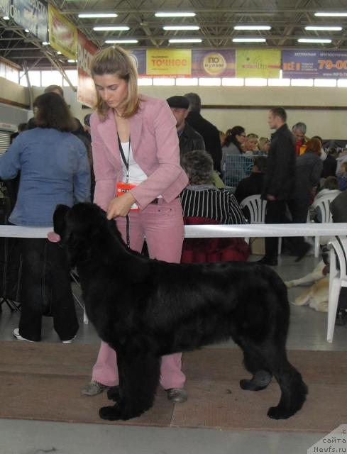 Фотография № 33258