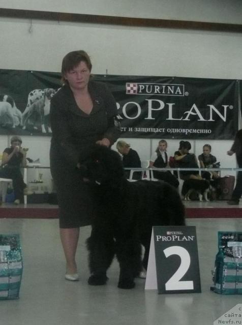 Фотография № 33265