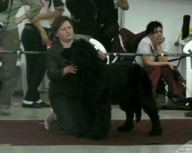 Фотография № 33267