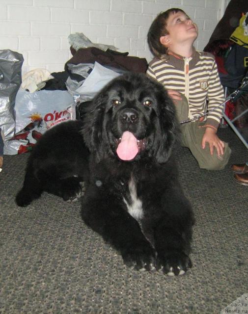 Фотография № 33271