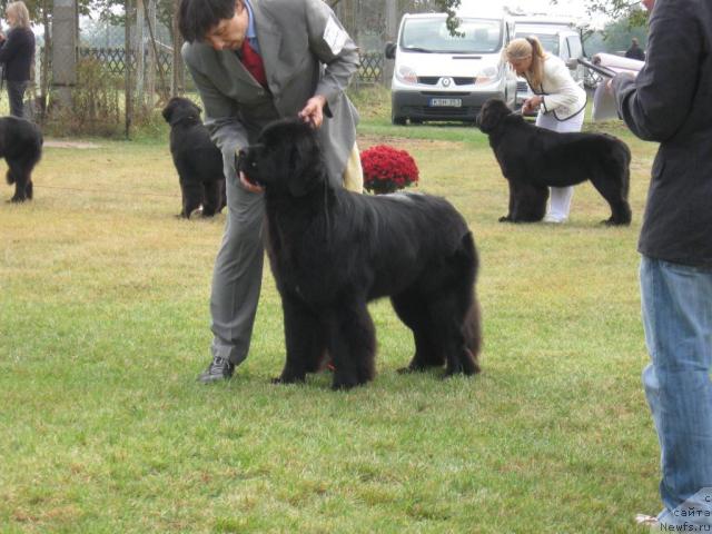 Фото: Chatchantarra Tabia