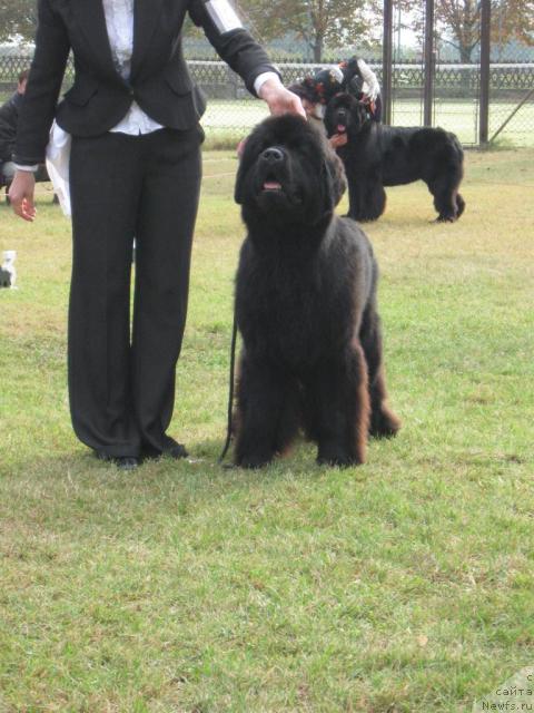 Фото: Inez Sewilla Wichrowe Laki