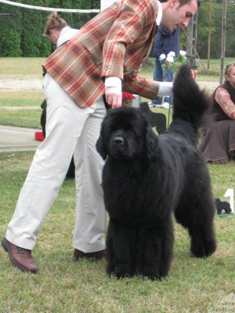 Фото: Ushuaia In My Mind