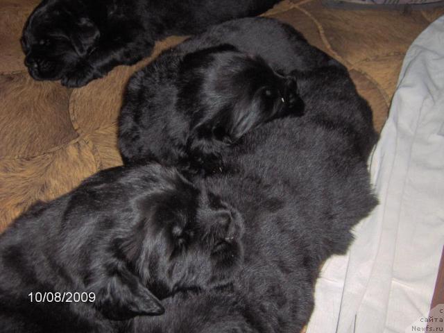 Фотография № 33284