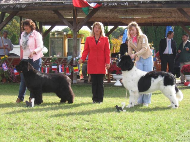Фото: Midnight Lady's Kind Of Magic, Owasco Newsunrise