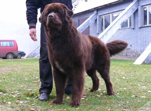 Фотография № 33316