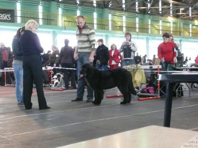 Фото: GRITAS BATIJOS GAURUOCIAI