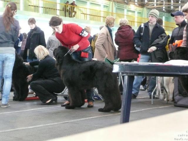 Фото: ARISIA ARCOLAN Z LITOVELSKENO POMORAVI