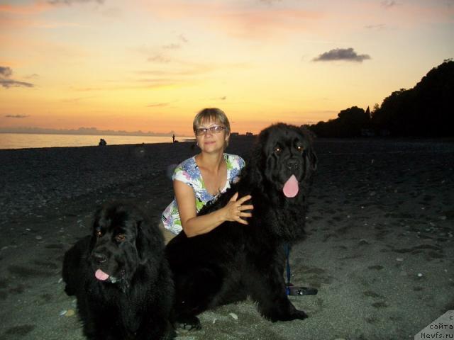 Фото: Elena Kuz'mina (Елена Кузьмина), ньюфаундленд Fortuna of Giant's Island, ньюфаундленд Gloriya Grand Blek (Глория Гранд Блек)