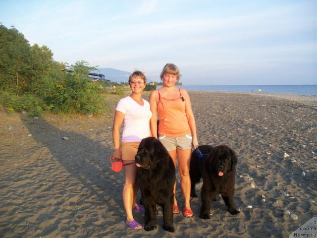 Фото: Elena Kuz'mina (Елена Кузьмина), ньюфаундленд Gloriya Grand Blek (Глория Гранд Блек), ньюфаундленд Fortuna of Giant's Island, Аня