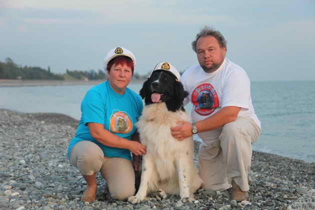 Фото: ньюфаундленд YUmma iz Unikal'noy Kollekcii (Юмма из Уникальной Коллекции), Соколова Ирина Сергеевна, Oleg Sokolov (Олег Соколов)