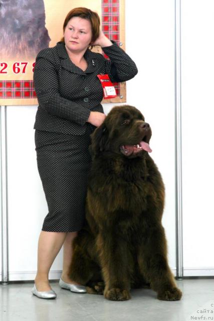 Фотография № 33358