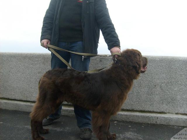 Фотография № 33381