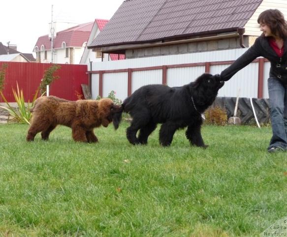 Фото: Dinara Tubaeva (Динара Тубаева), и компания!!!