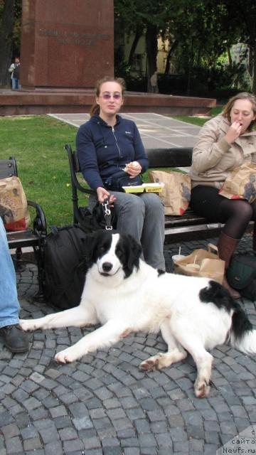 Фотография № 33489