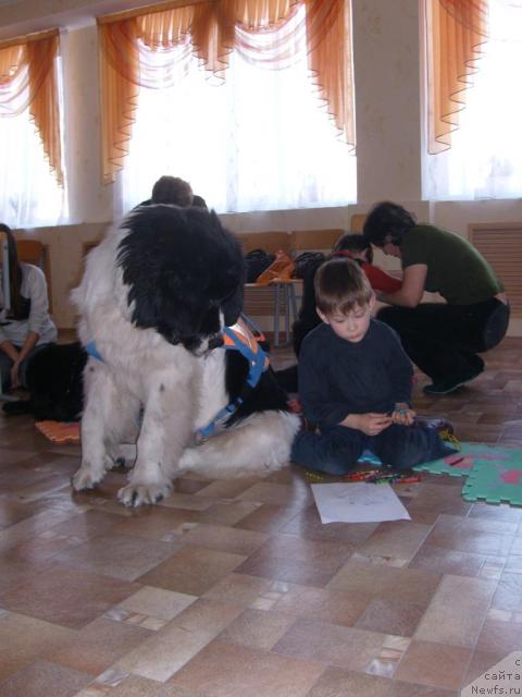 Фотография № 33587