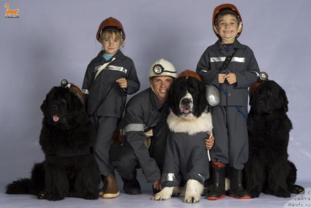 Фотография № 33616