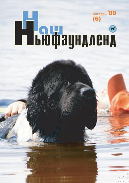 Фотография № 33639