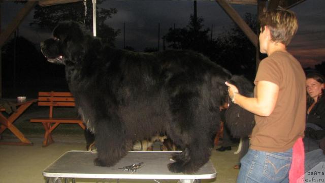 Фотография № 33640