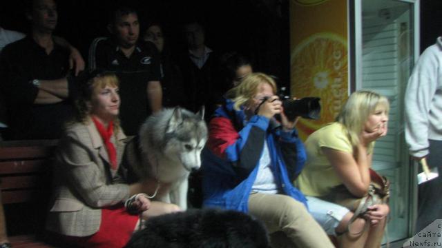 Фото: YUliya YAstrebova (Юлия Ястребова)