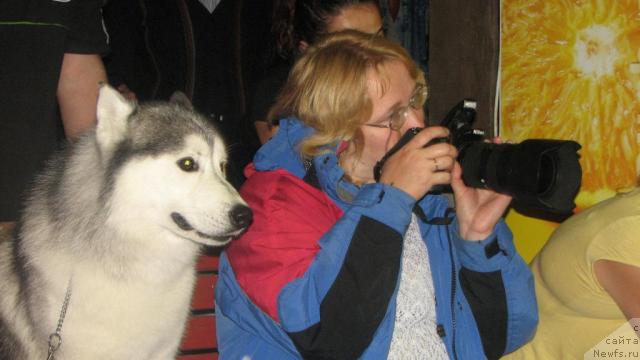 Фотография № 33642