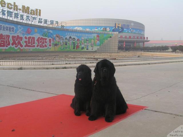 Фотография № 33691