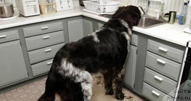 Фотография № 33693