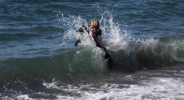 Фотография № 33723