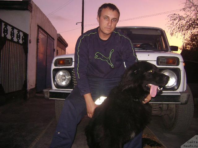 Фото: ньюфаундленд Londonskiy Dendi (Лондонский Денди), Maksim Poltarak (Максим Полтарак)