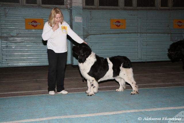 Фотография № 33825