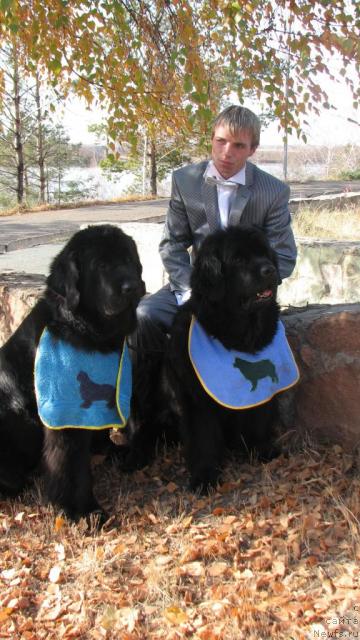 Фотография № 33827