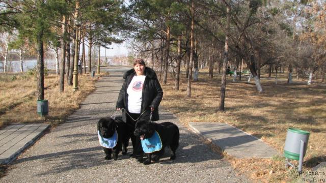 Фотография № 33838