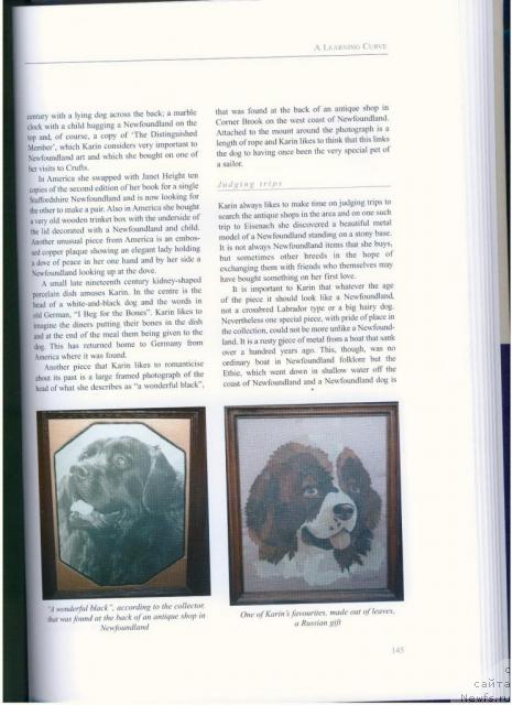 Фотография № 33896