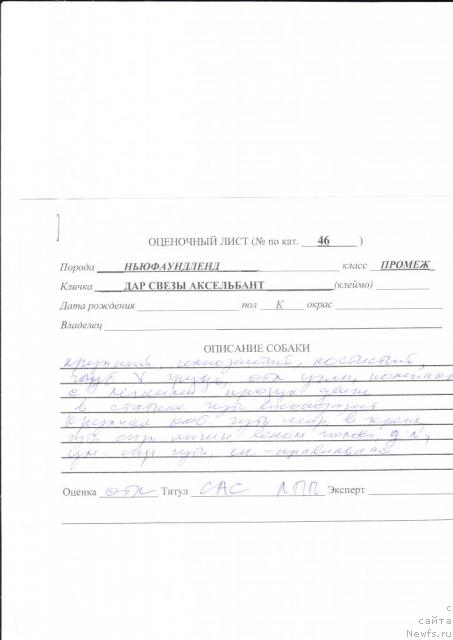 Фотография № 33898