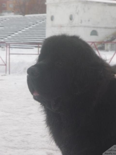 Фотография № 33899