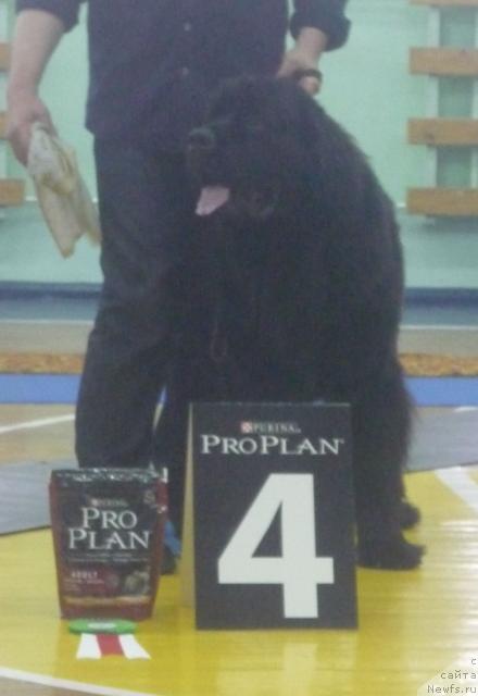 Фотография № 33901