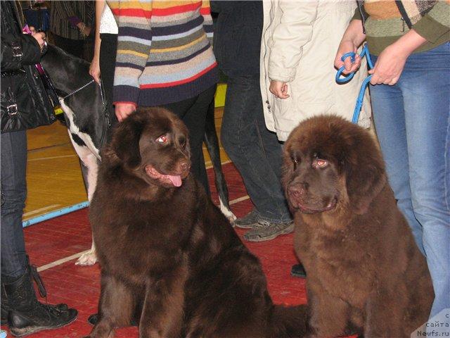 Фото: Елизара и Аристократ от Рафаэллы